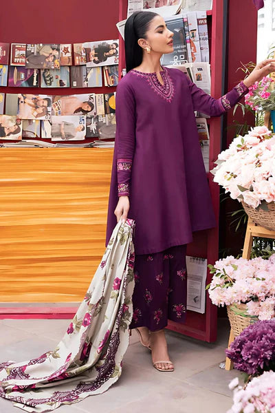 Dhanak 3PC Embroidered Dress With Embroidered Shawl